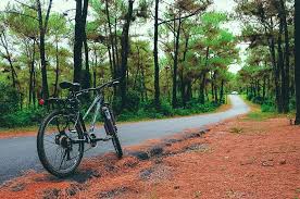 Vietnam Cycling Vacations on the Central Coast 14 Days